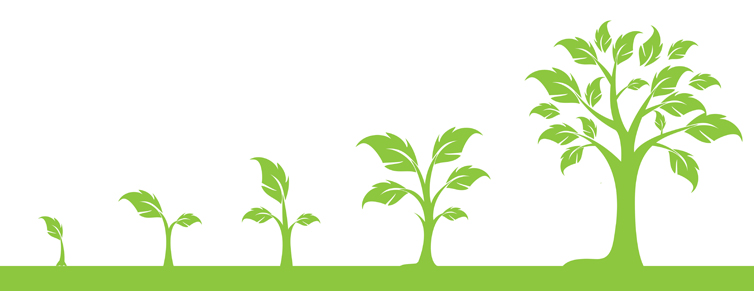 Growth