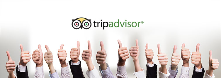 TripAdvisor-Will-Improve-Its-Service-with-an-Automated-Review-Collection-Product-for-Hotels-end