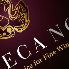 Logo Design & Branding