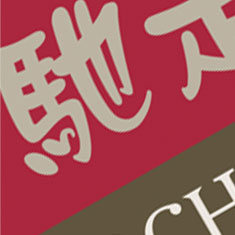 Logo Design & Branding