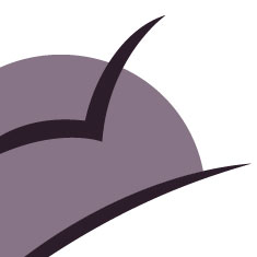 Logo Design & Branding