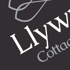 Logo Design & Branding