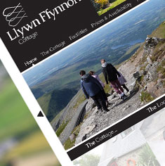 Hotel Web Design - Llywn
