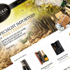 Ecommerce Web Design - Gemeaux Champagne