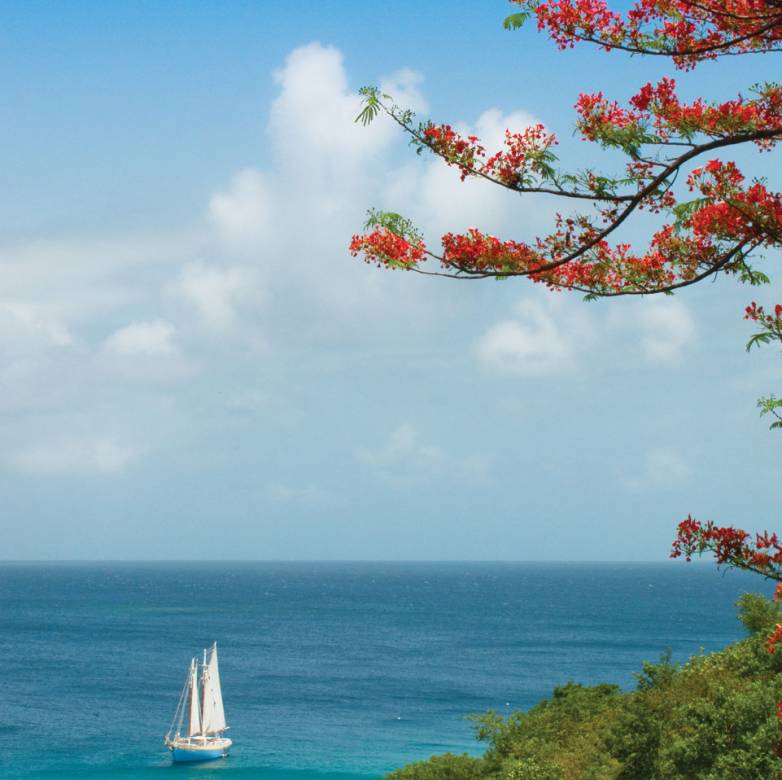 Firefly, Mustique: Printed Menu Covers