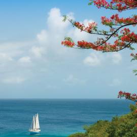 Firefly, Mustique: Printed Menu Covers