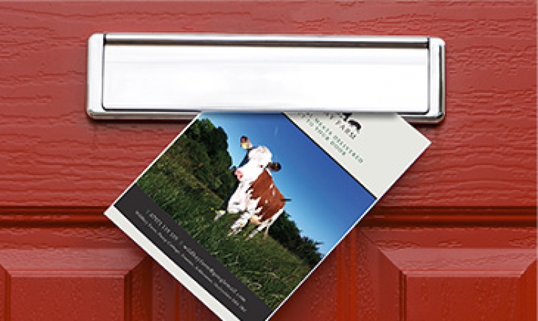 Email Marketing &amp; Direct Mail
