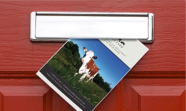 Email Marketing &amp; Direct Mail