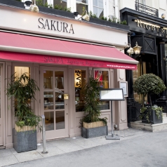 Sakura
